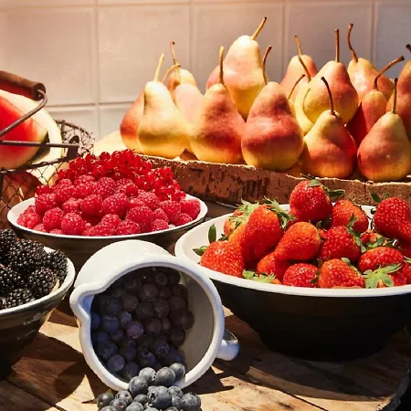 Hotel Steigenberger Airport Amsterdam 4*