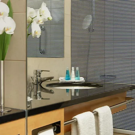 酒店 阿姆斯特丹机场多林特酒店 史基浦