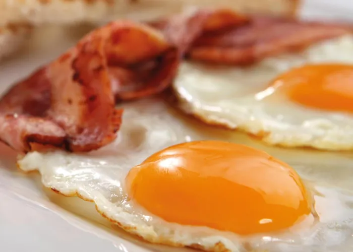 Hotel Steigenberger Airport Amsterdam Amsterdam Airport Schiphol