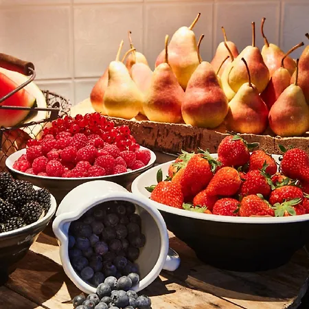 Hotel Steigenberger Airport Amsterdam 4*